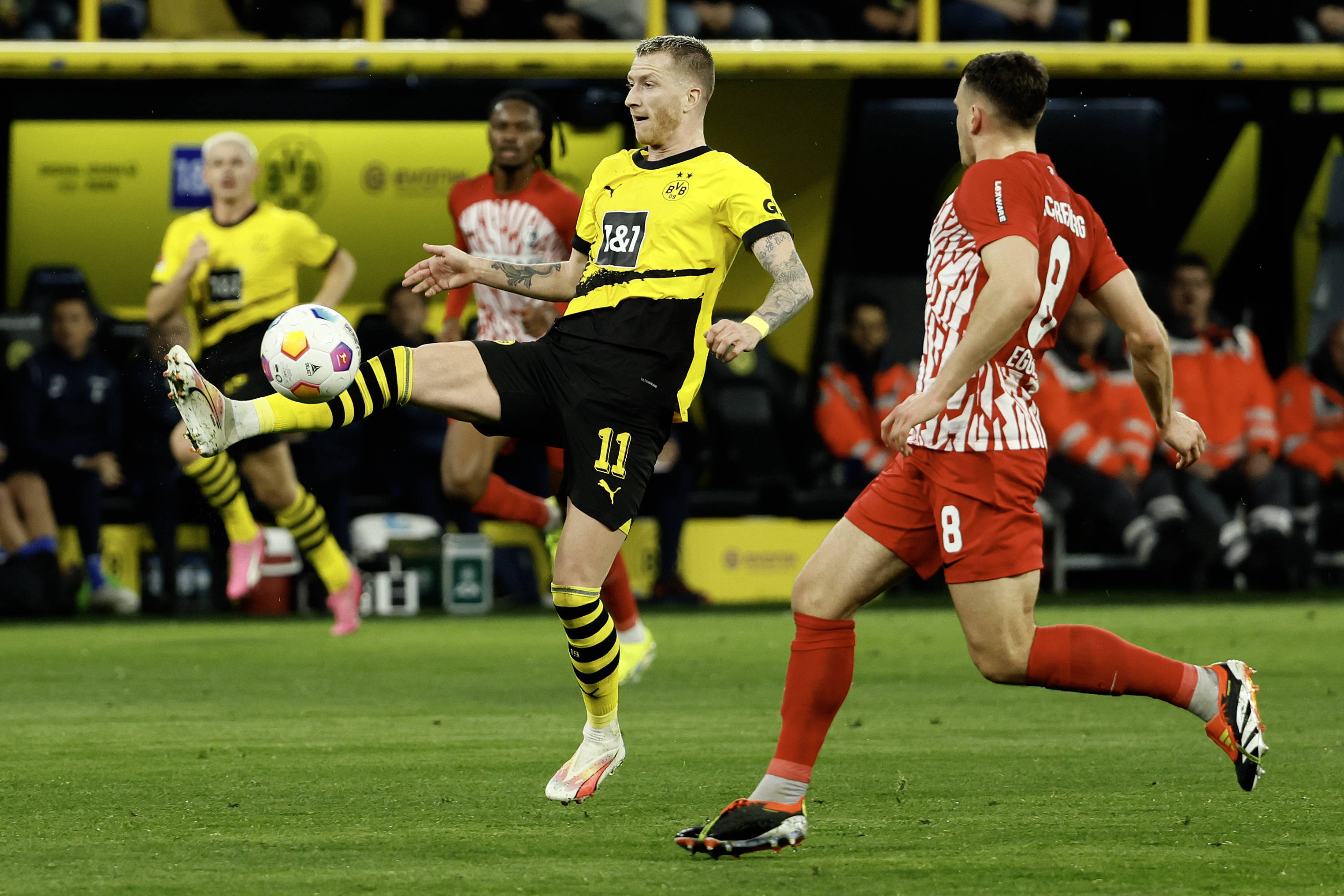 Kaiyun官网-勒沃库森不败纪录刷新